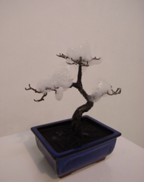 s2_750x1000_Dwarf tree fountain 2010.jpg