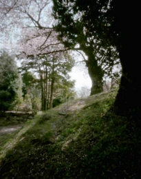 s1_1000x800_kohun no aki2011.jpg