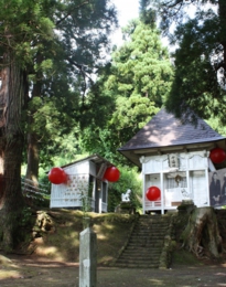 s4_1000x667_kaeru tokoro maturi 2012.jpeg