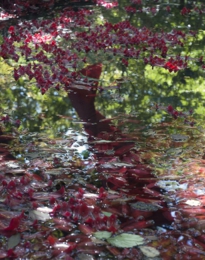 s2_670x1000_akai_sasahune 2013.jpg