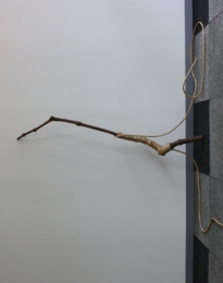 s1_1000x767_sikii2011 moku aranawa.JPG