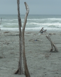 s1_kakenuketeiku umiga.JPG