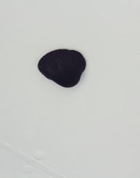 s1_1000x667_uminosoko wo nagameru.jpg