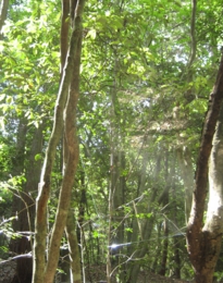 s3_1000x750_glassworks ninsiki.JPG