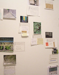 s4_1000x700_2006 toki.jpg