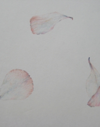 s3_1000x750_kami no ue no kokyu2013.JPG