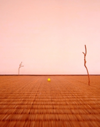 s3_775x1000_tokuganji plan_Branches of incense sticks.jpg