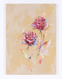 s1_667x1000_namiai no77.jpg