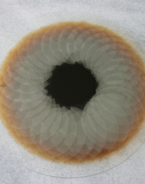 s4_1000x667_Die Erde.jpg